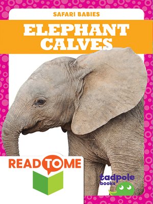 cover image of Elephant Calves